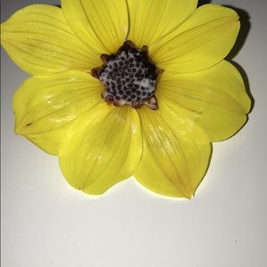 Meet your Posher, Mikayla